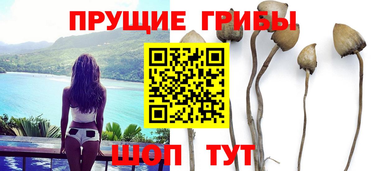 Галлюциногенные грибы Magic Shrooms  дарнет шоп  Назарово  Вход с VPN 